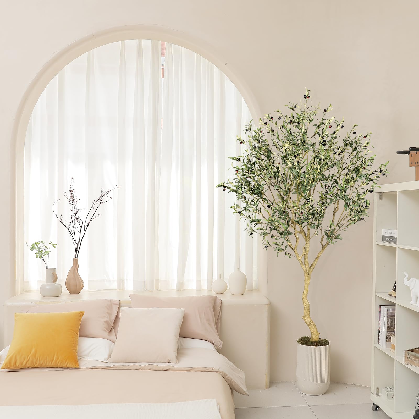 REALEAD olive tree next to sofa illustrating seven-foot scale and presence