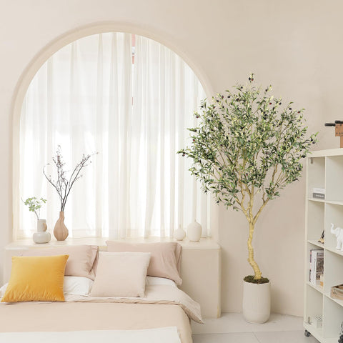 REALEAD olive tree next to sofa illustrating seven-foot scale and presence