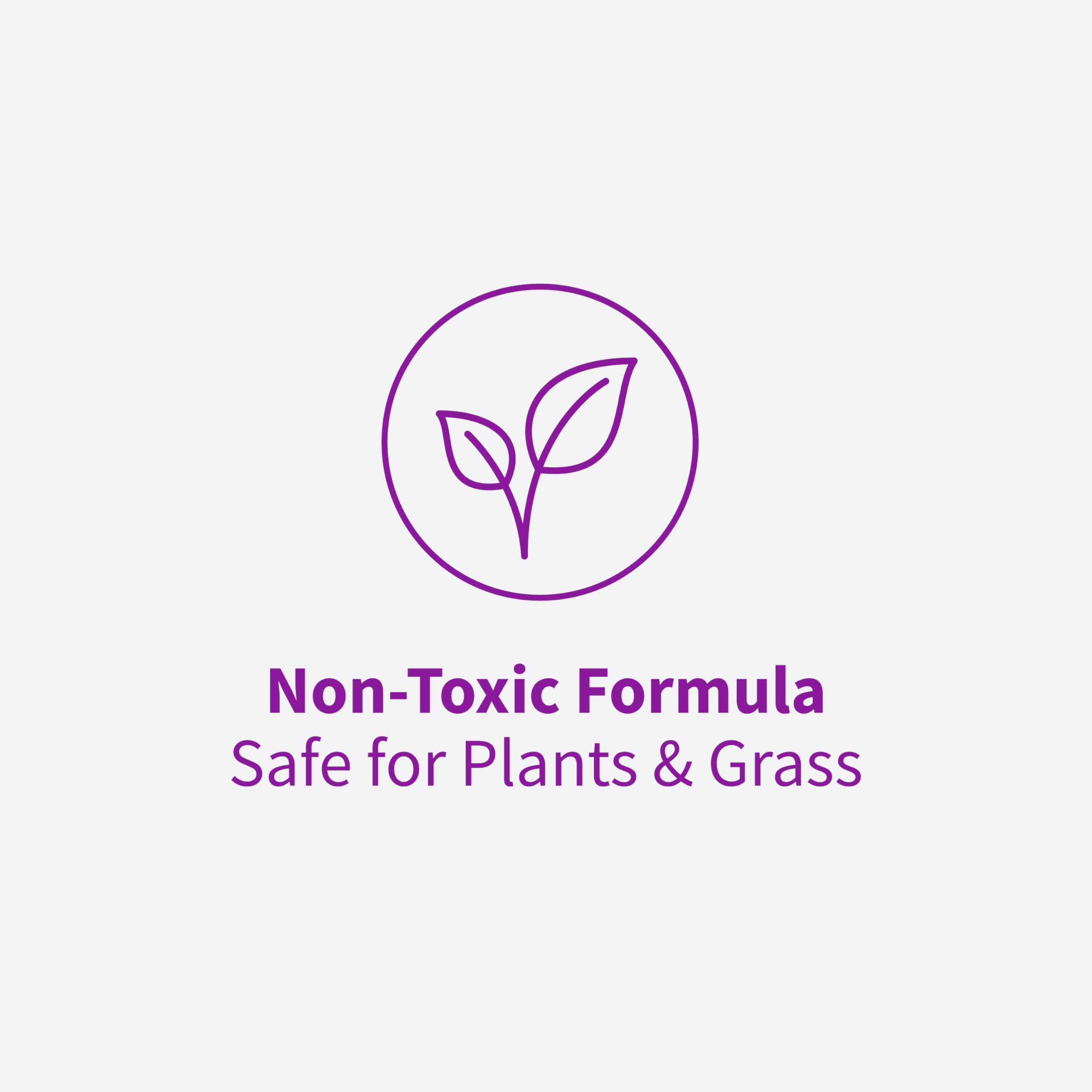 Rejuvenate label detail including usage steps and safety information for confident use