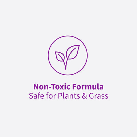 Rejuvenate label detail including usage steps and safety information for confident use