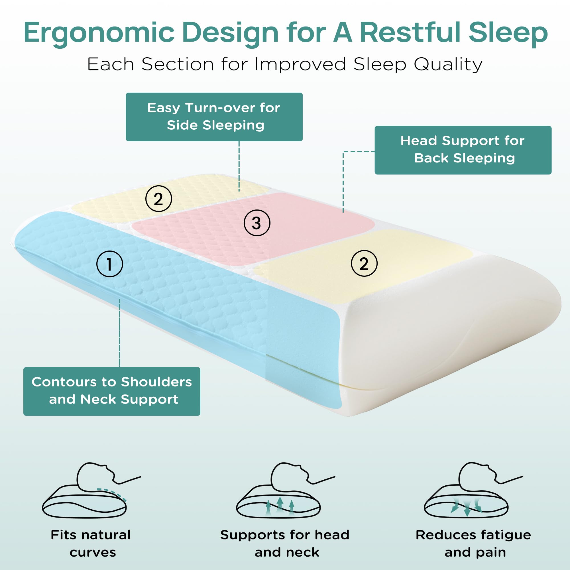 Releep pillow beside ruler showing queen size and proper fit benefit