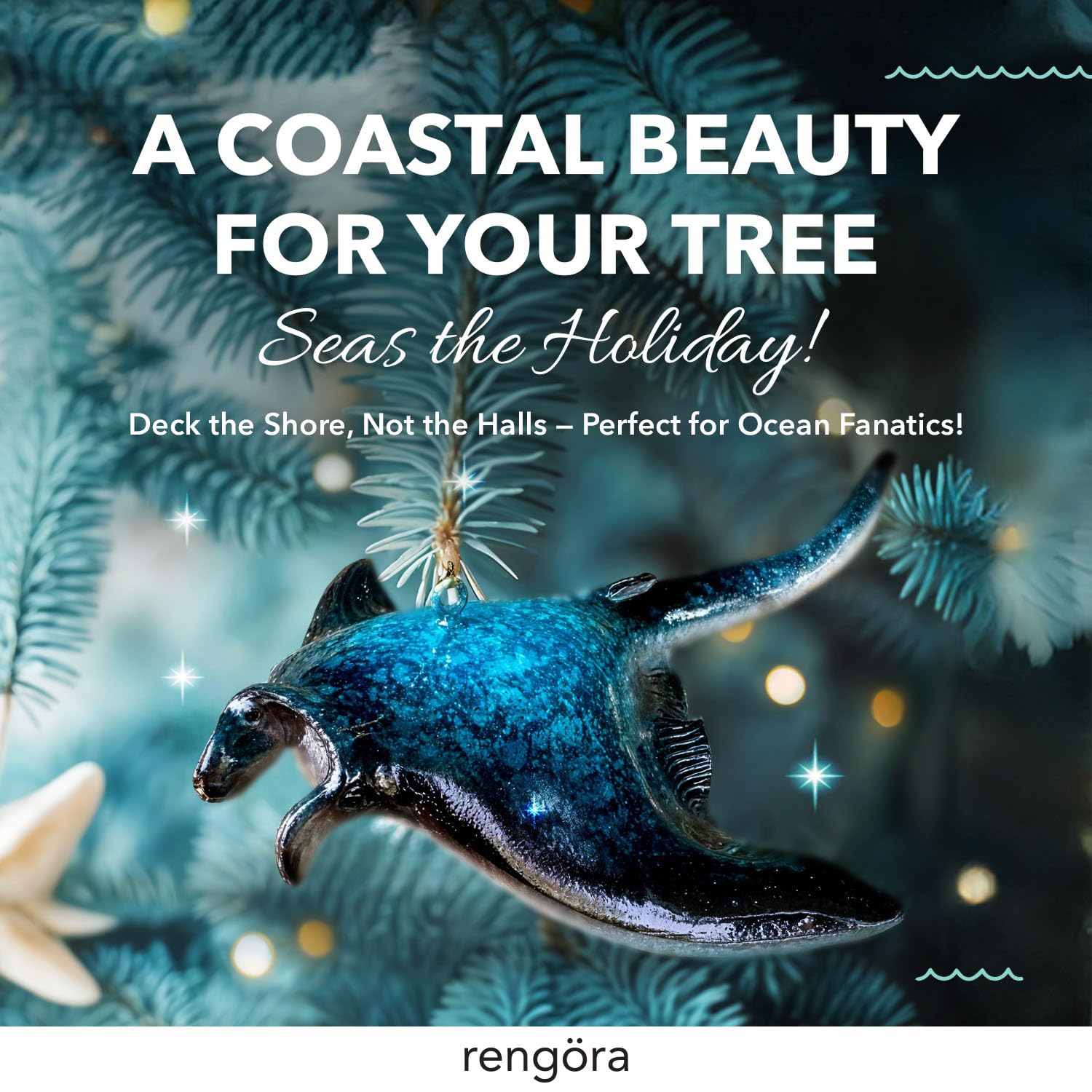 rengöra manta ray in turquoise box ready to gift with protective packaging
