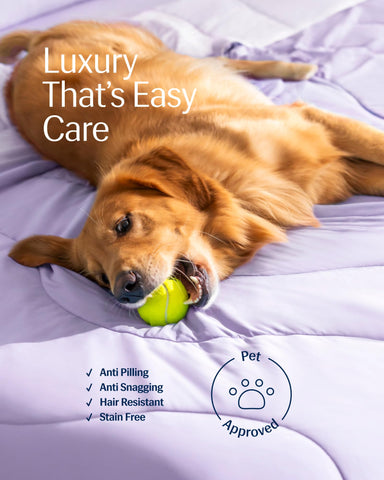 REST pet and stain resistant demo showing easy maintenance