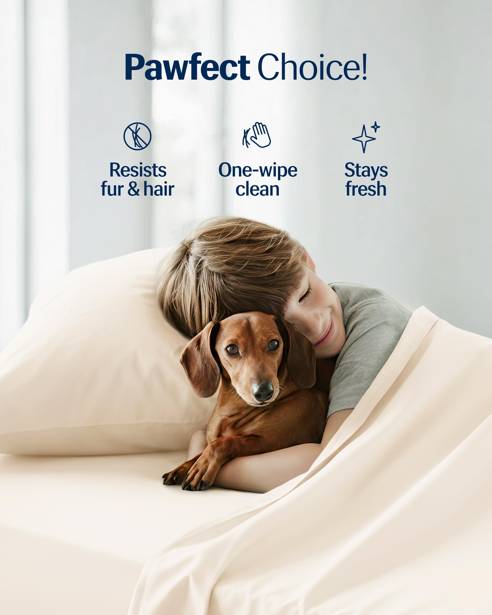 REST Evercool+ color swatches array showing coordination with bedding