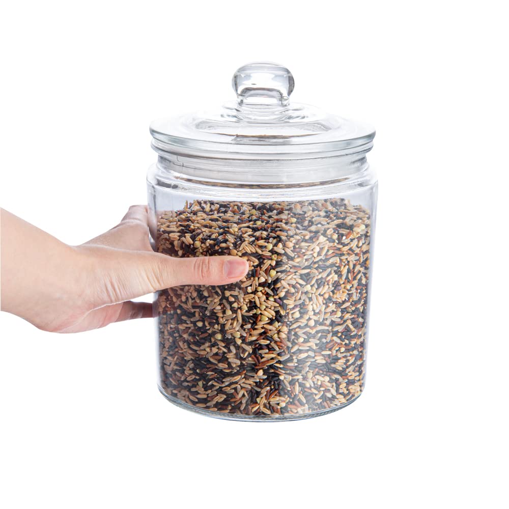 Restaurantware Vetri inside dishwasher basket, demonstrates easy cleaning convenience