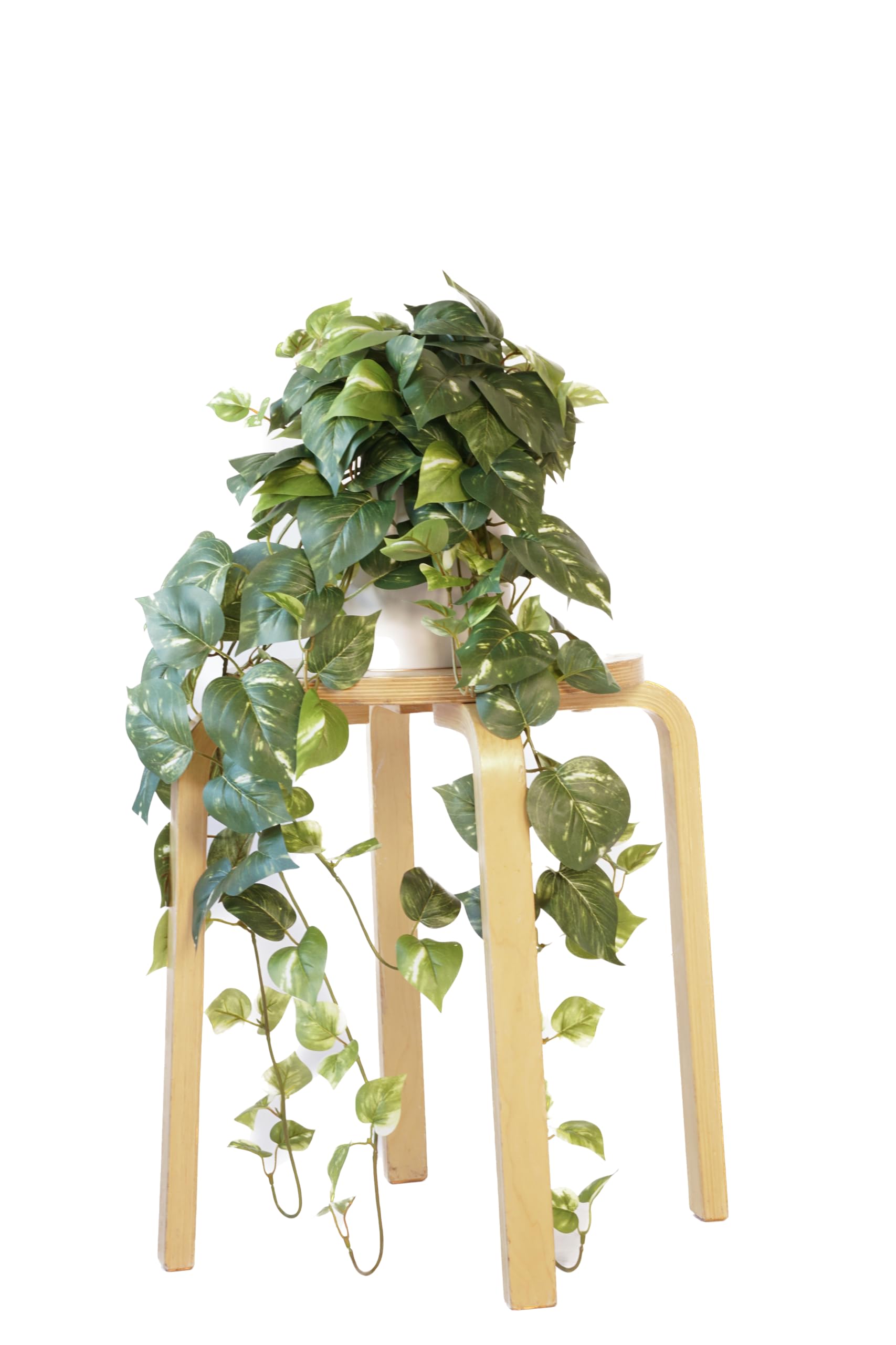 Retrograde front view of 32-inch faux pothos showing full trailing shape and realism