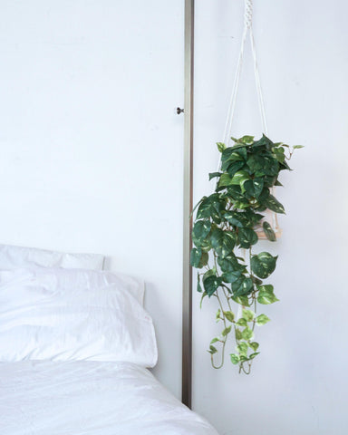 Retrograde faux pothos draping from a shelf to add low-maintenance décor and color