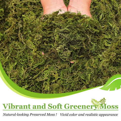 Riare moss applied to a living wall mockup adding depth and botanical texture