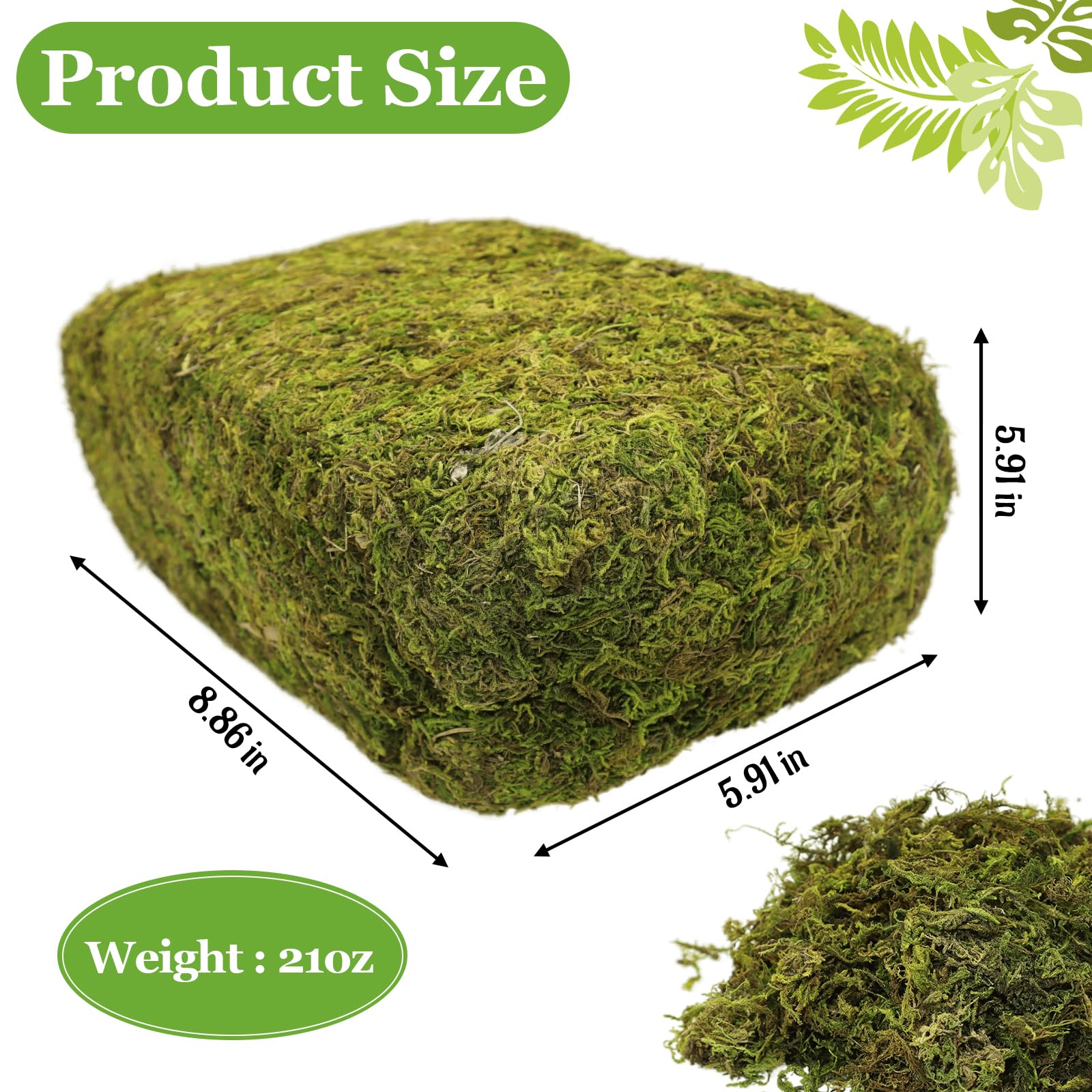 Riare close-up of moss fibers highlighting soft texture and realistic look