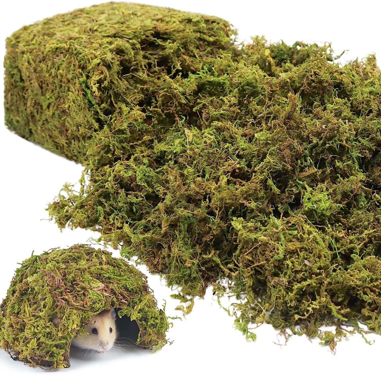 Riare front pile of natural moss showing lush green texture and easy application