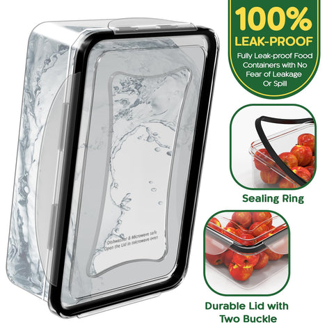 RockBerry square containers close-up highlighting clear walls for easy identification