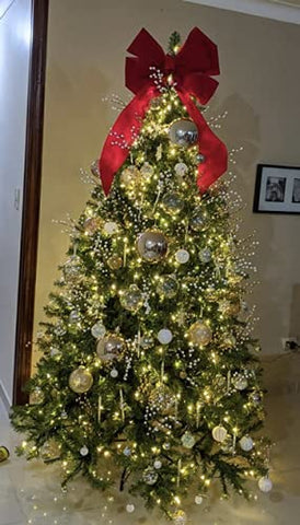 Rocky Mountain Goods bow mounted on car hood demonstrating festive, non-damaging display