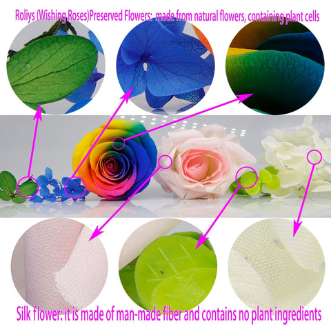 roliys preserved rose stem base showing careful preservation