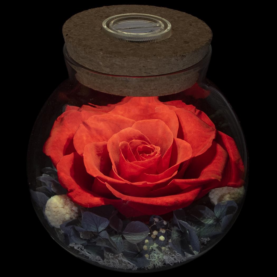roliys front view bottle with rose showing long-lasting beauty