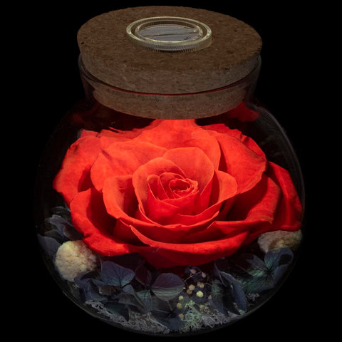 roliys front view bottle with rose showing long-lasting beauty