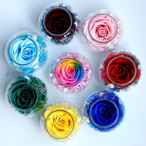 roliys lifestyle anniversary display suggesting special-occasion use