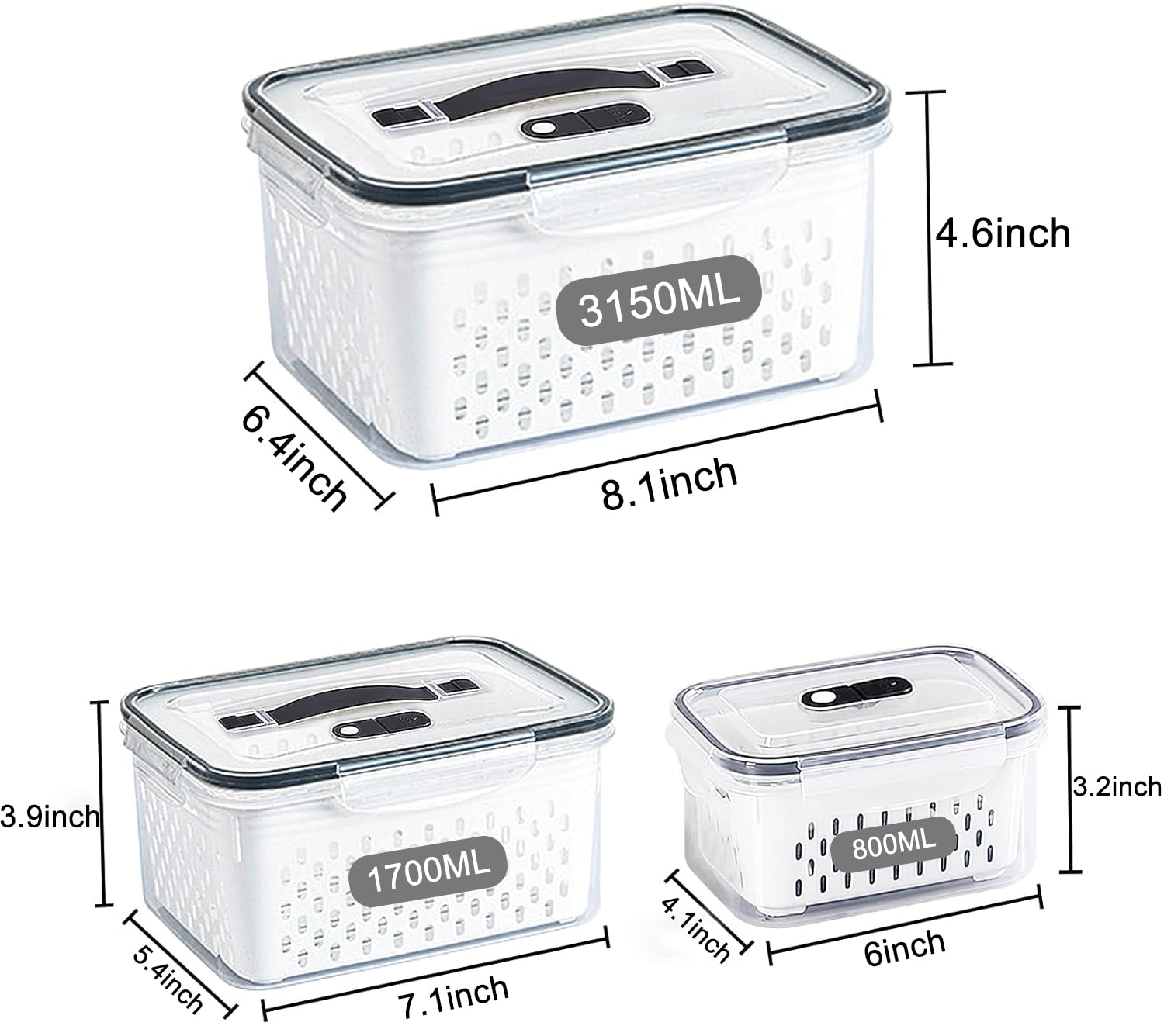 Ronanemon large container filled with salad, demonstrating capacity and freshness