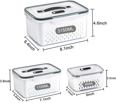 Ronanemon large container filled with salad, demonstrating capacity and freshness