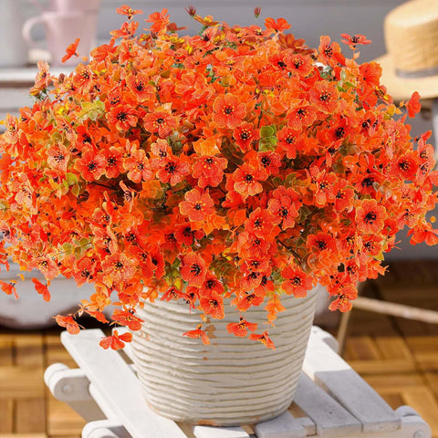 Rowfad front packaging showing 36 orange mums bundle and value