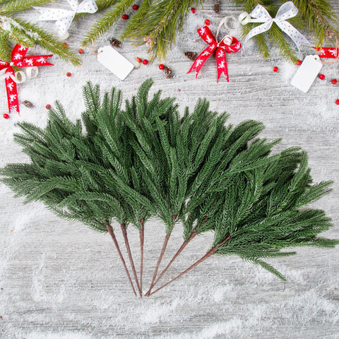 Rowfad Norfolk pine stems arranged in a vase for quick holiday decor