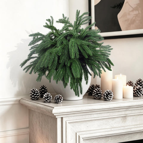 Rowfad close-up of Norfolk pine needles highlighting lifelike texture and detail