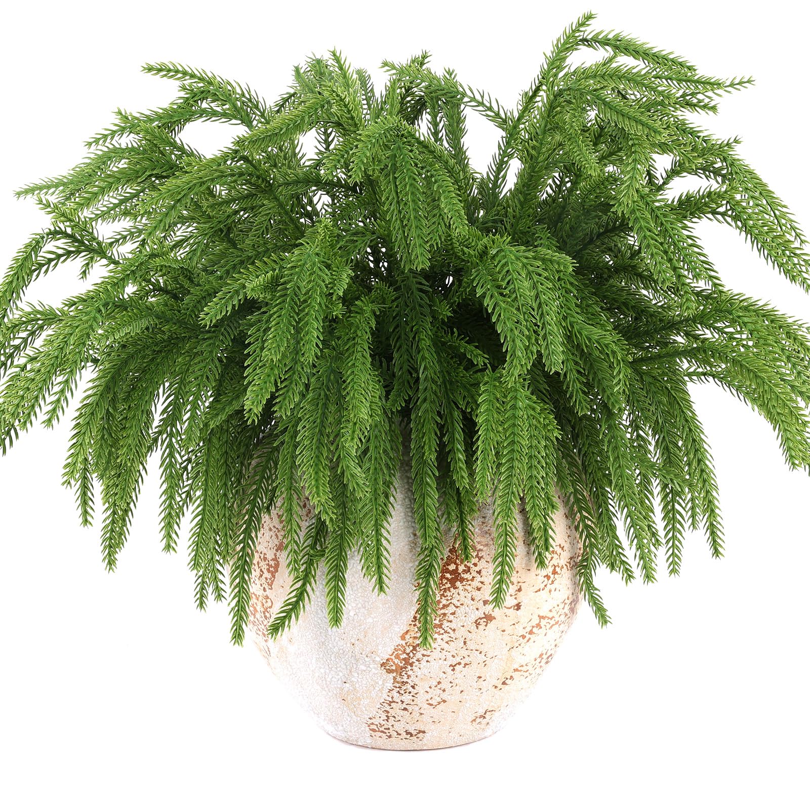 Rowfad stem bent to show flexible branches for shaping and arranging