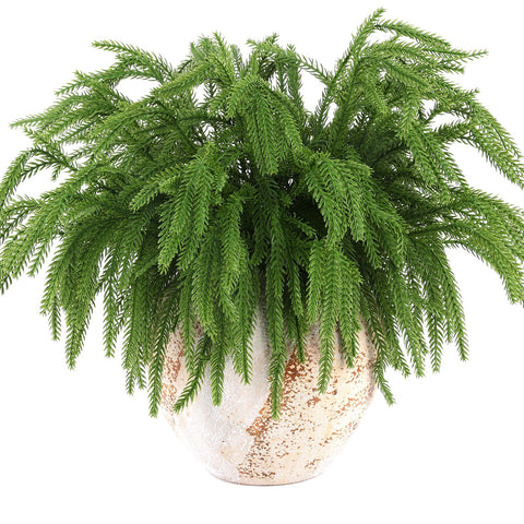 Rowfad stem bent to show flexible branches for shaping and arranging