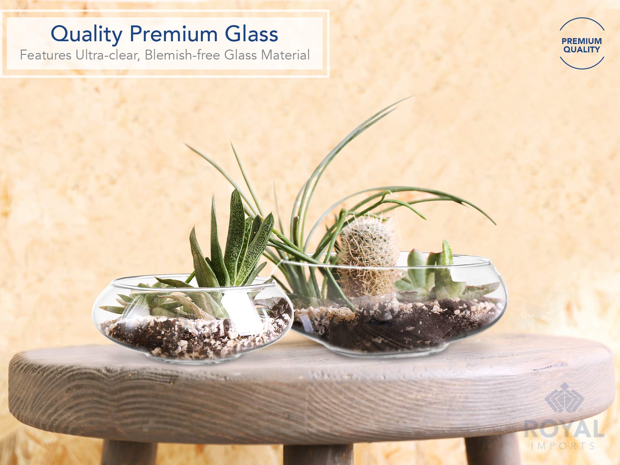 Royal Imports close-up of glass rim and smooth wall offering refined shine