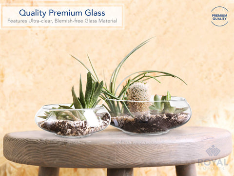 Royal Imports close-up of glass rim and smooth wall offering refined shine