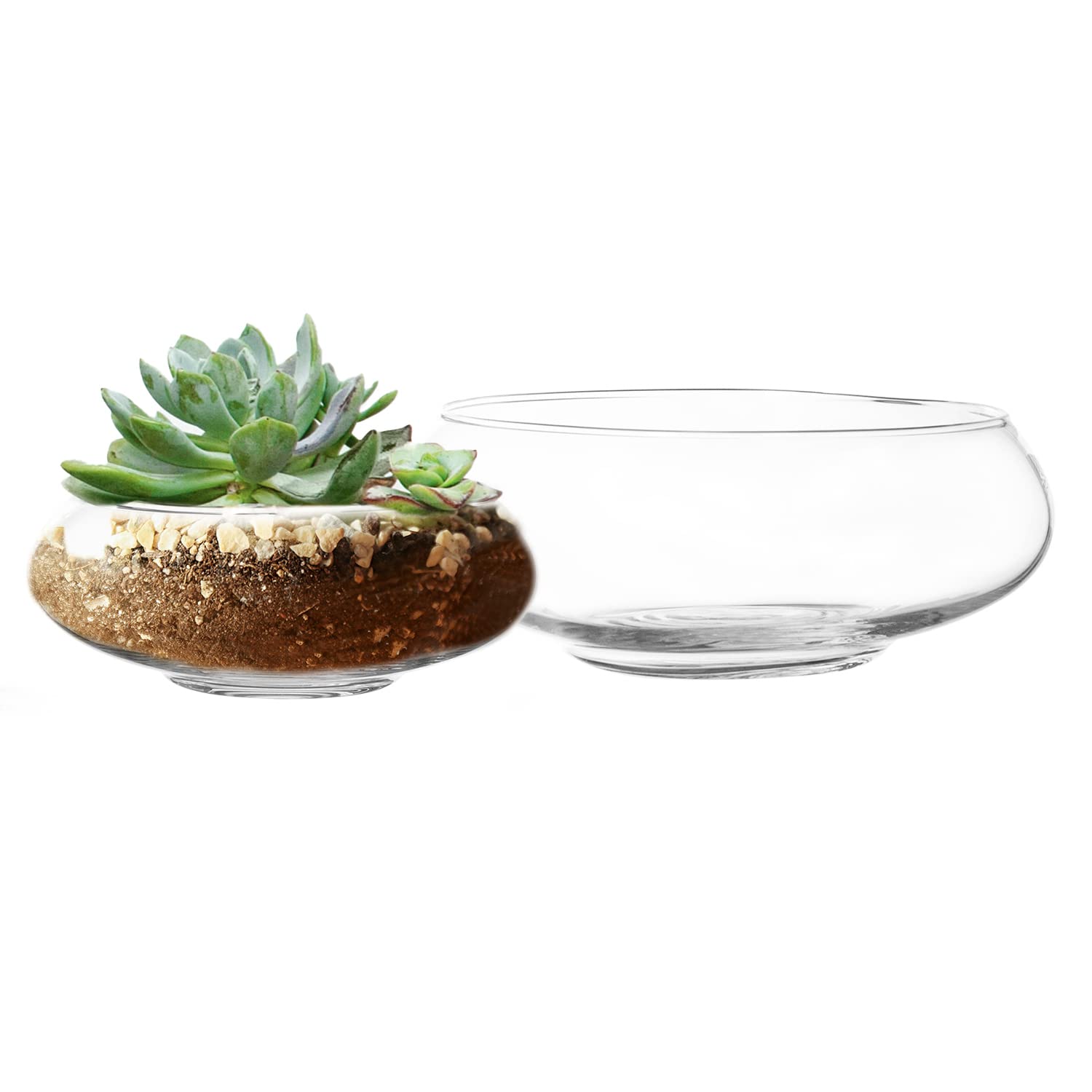 Royal Imports front packaging showing both clear vases and protection benefits