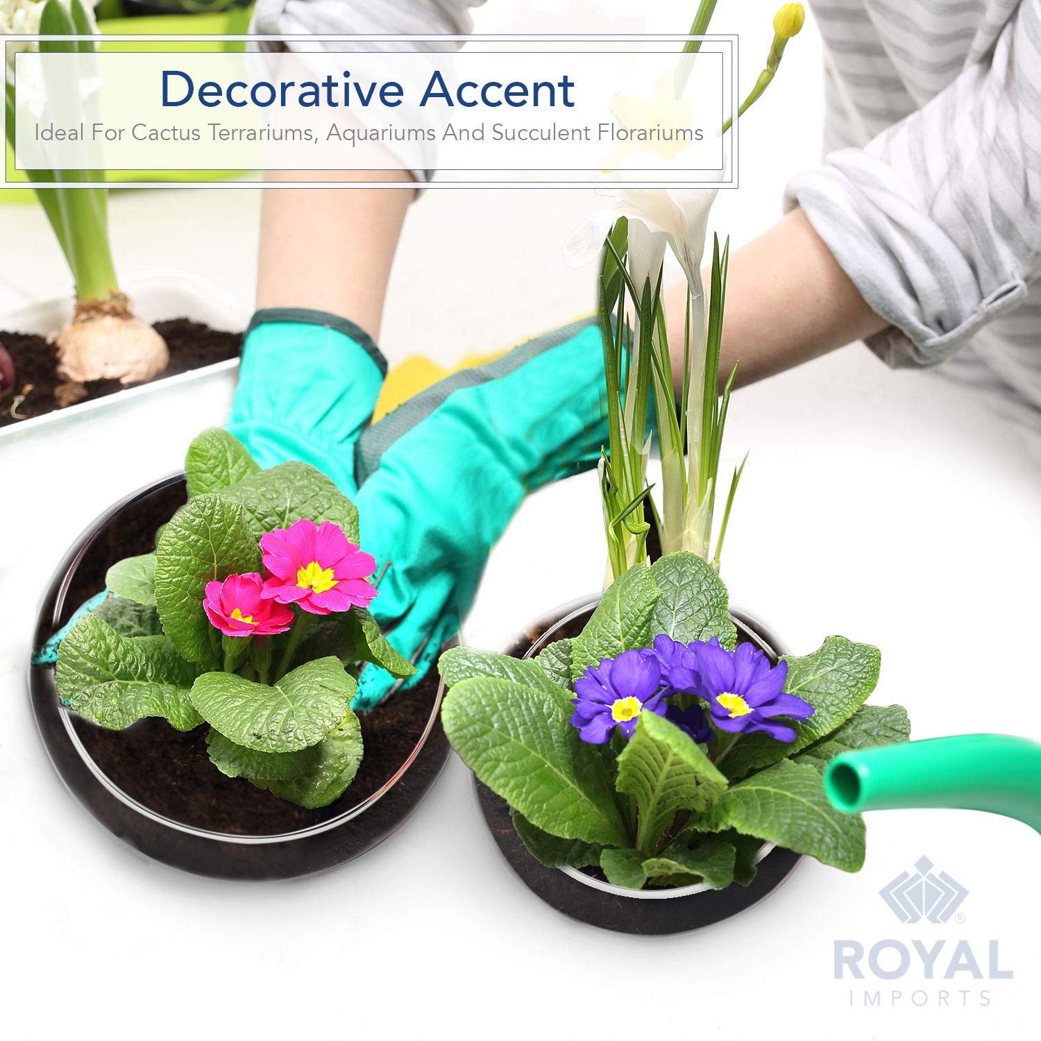 Royal Imports large vase holding fresh flowers for a polished tabletop look