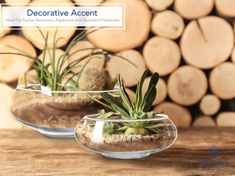 Royal Imports styled centerpiece on table adding elegant modern decor