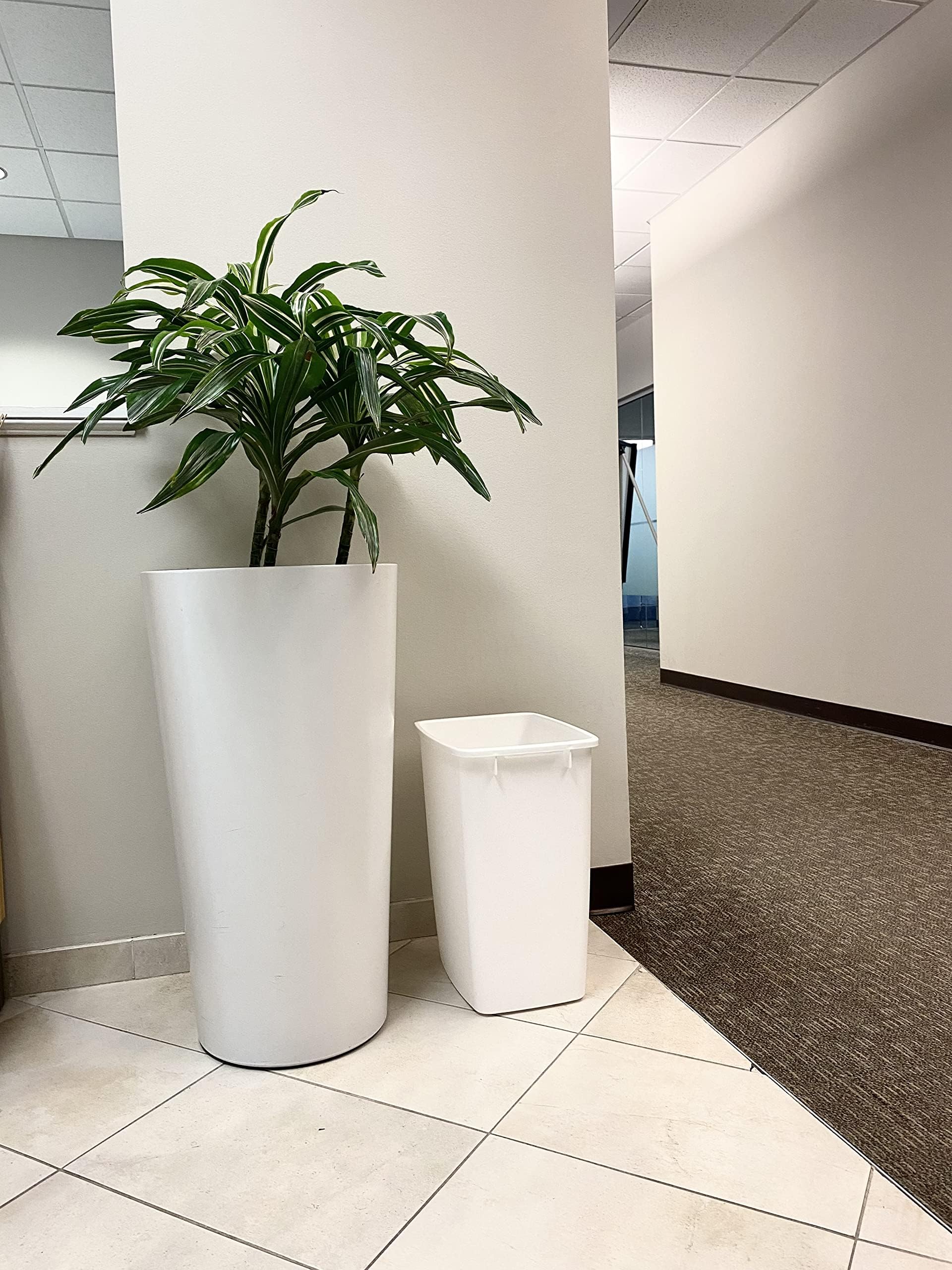 Rubbermaid trash can beside toilet demonstrating compact size and space saving