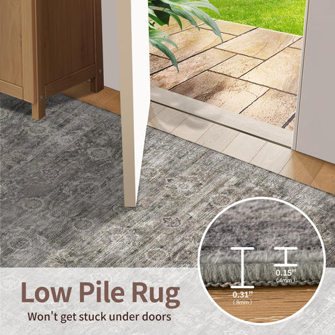 Rugxara kids and pet scene showing family-friendly durability benefit