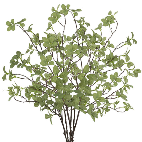 Ruidazon front view of six stems showing full height and realistic look