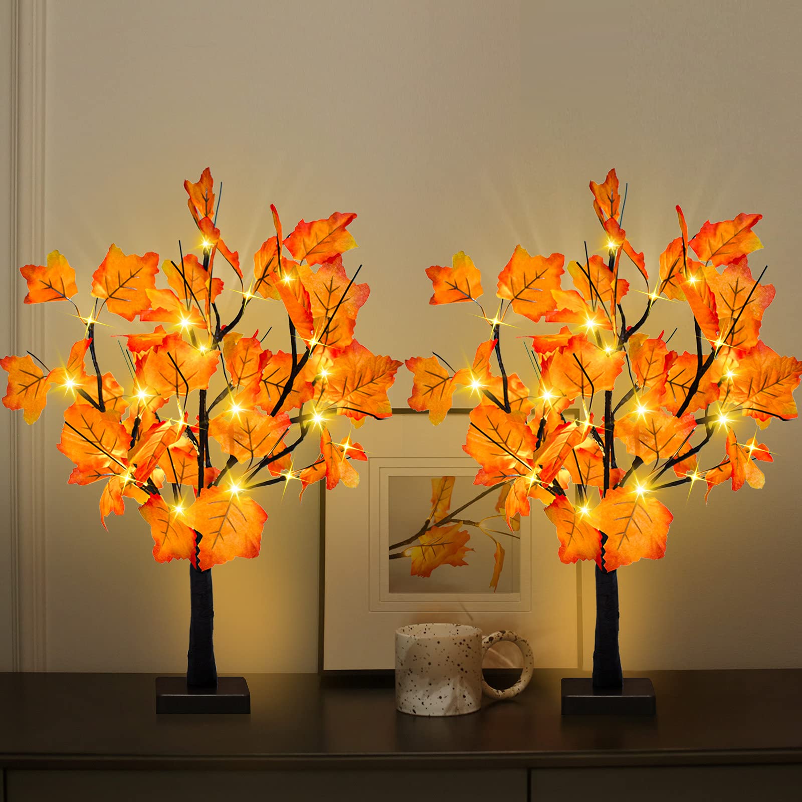 S-Union front view of two 24-inch trees showing seasonal color and ease