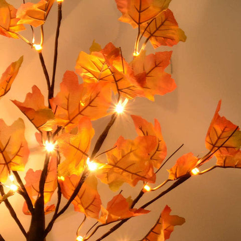 S-Union night view of LEDs creating warm ambient fall illumination
