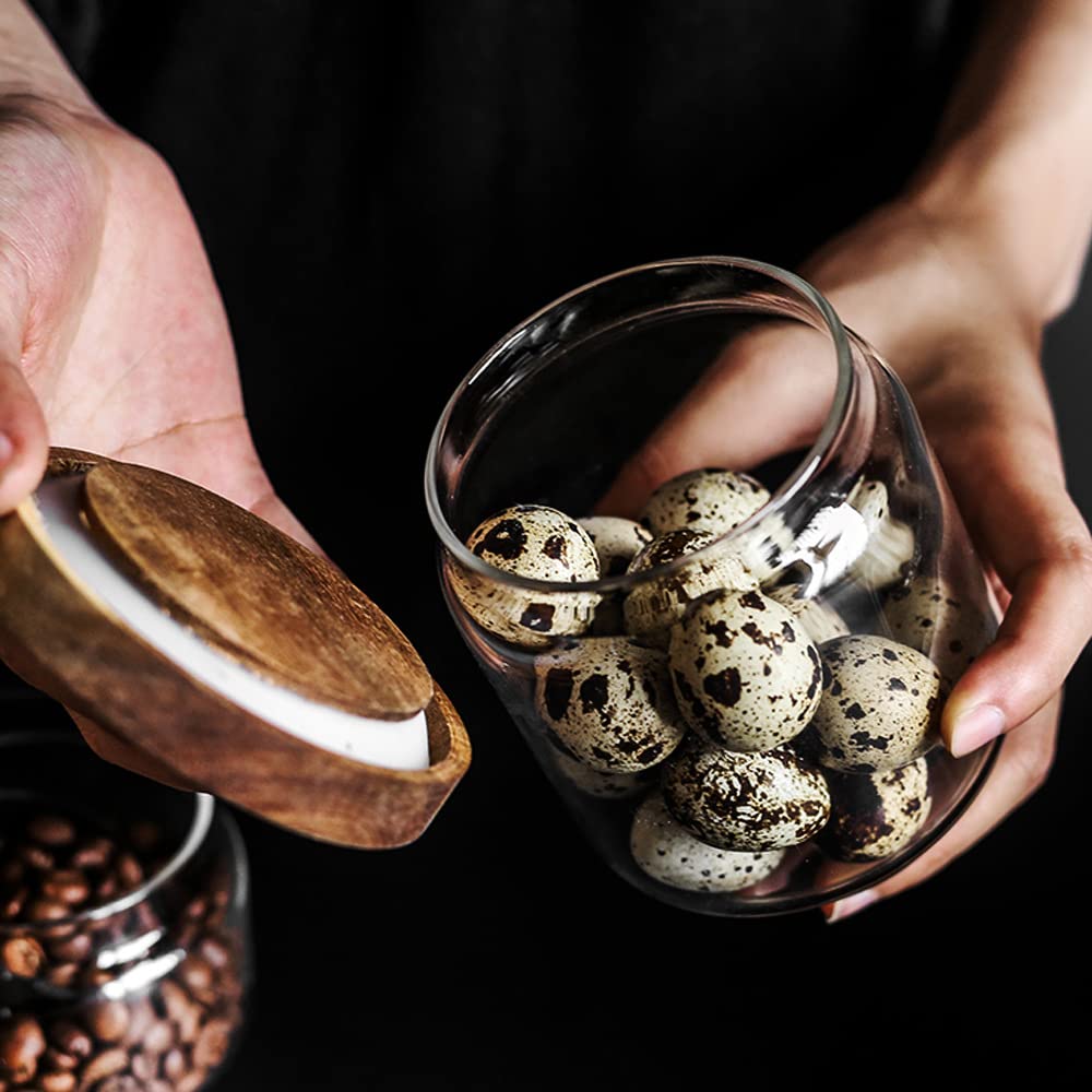 SAIOOL medium jars holding nuts and seeds for portioned storage benefit