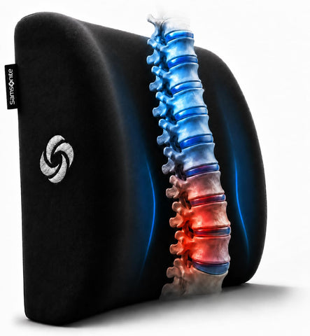 Samsonite lumbar pillow front view showing contoured shape and firm support
