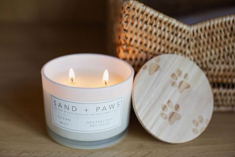Sand + Paws glass vessel repurposed as storage showing sustainable benefit