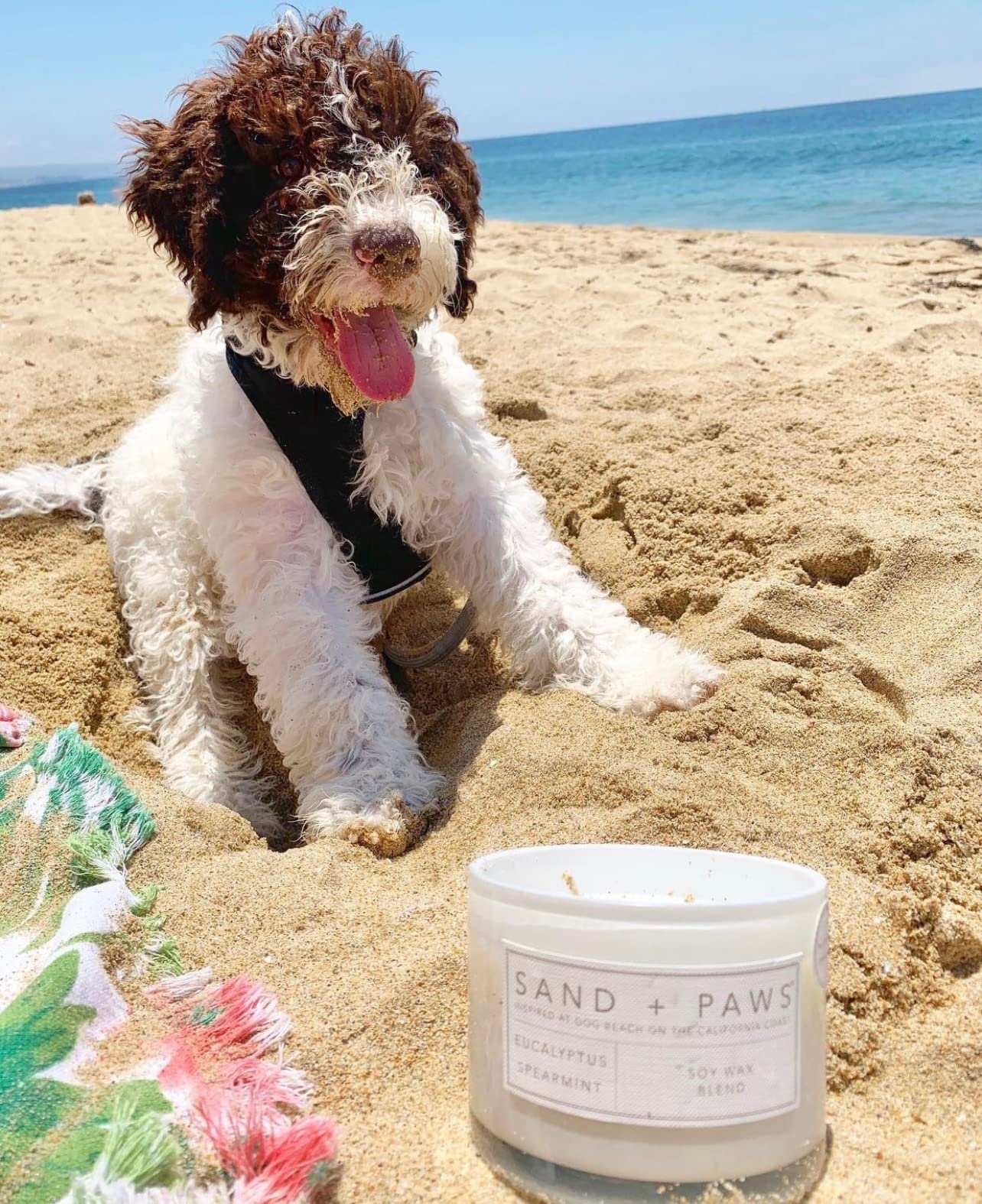 Sand + Paws jar beside hand showing scale and easy placement benefit