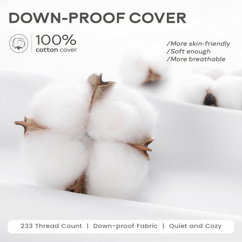 SAVORI fluffed insert on a sofa demonstrating soft loft and plush comfort