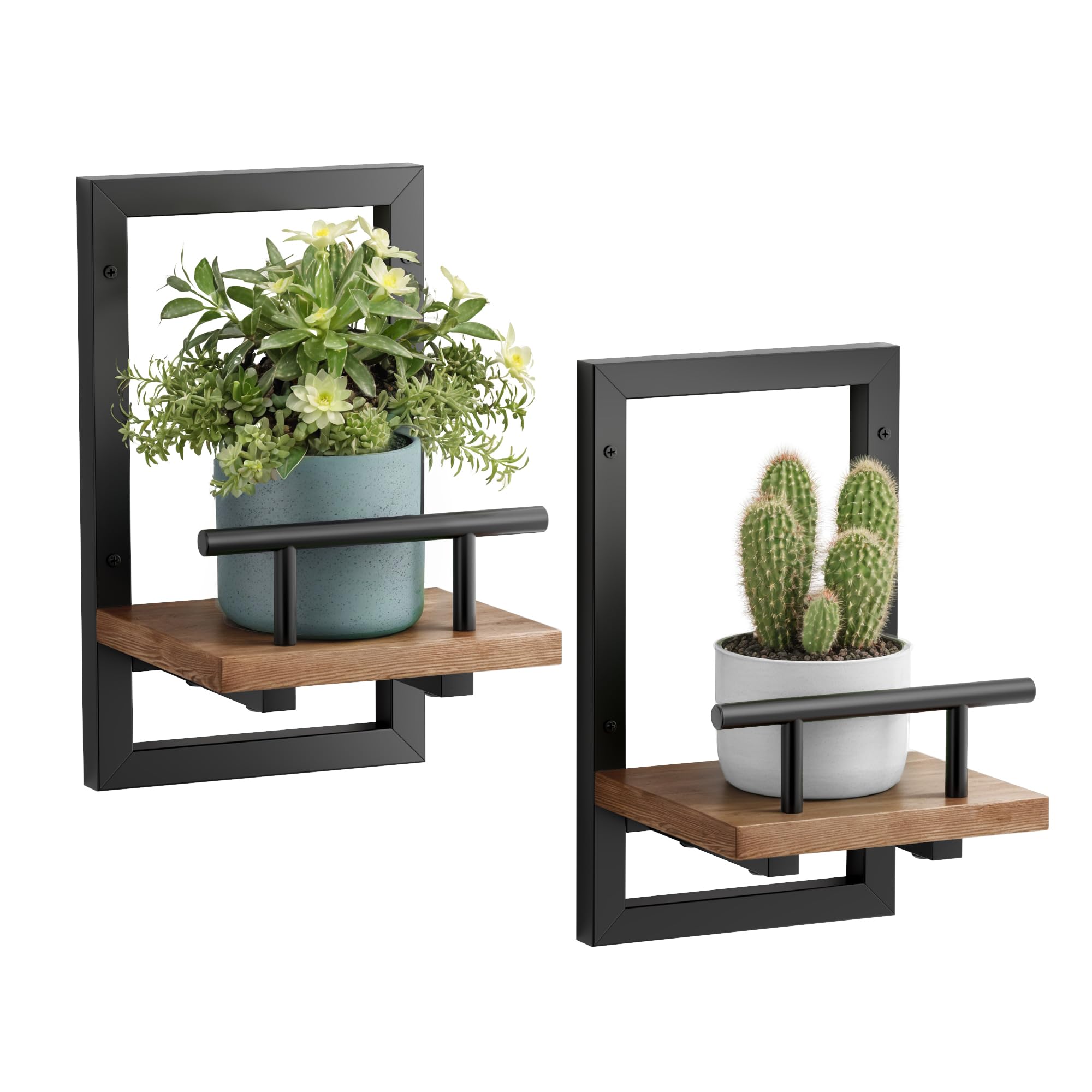 Sbosbo front view of mounted shelves showing neat plant display and space saving