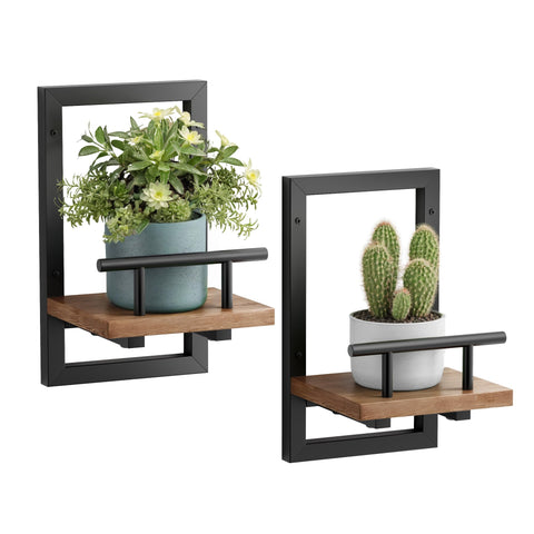 Sbosbo front view of mounted shelves showing neat plant display and space saving