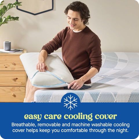 Sealy Dreamlife label and warranty tag highlighting 1-year warranty benefit