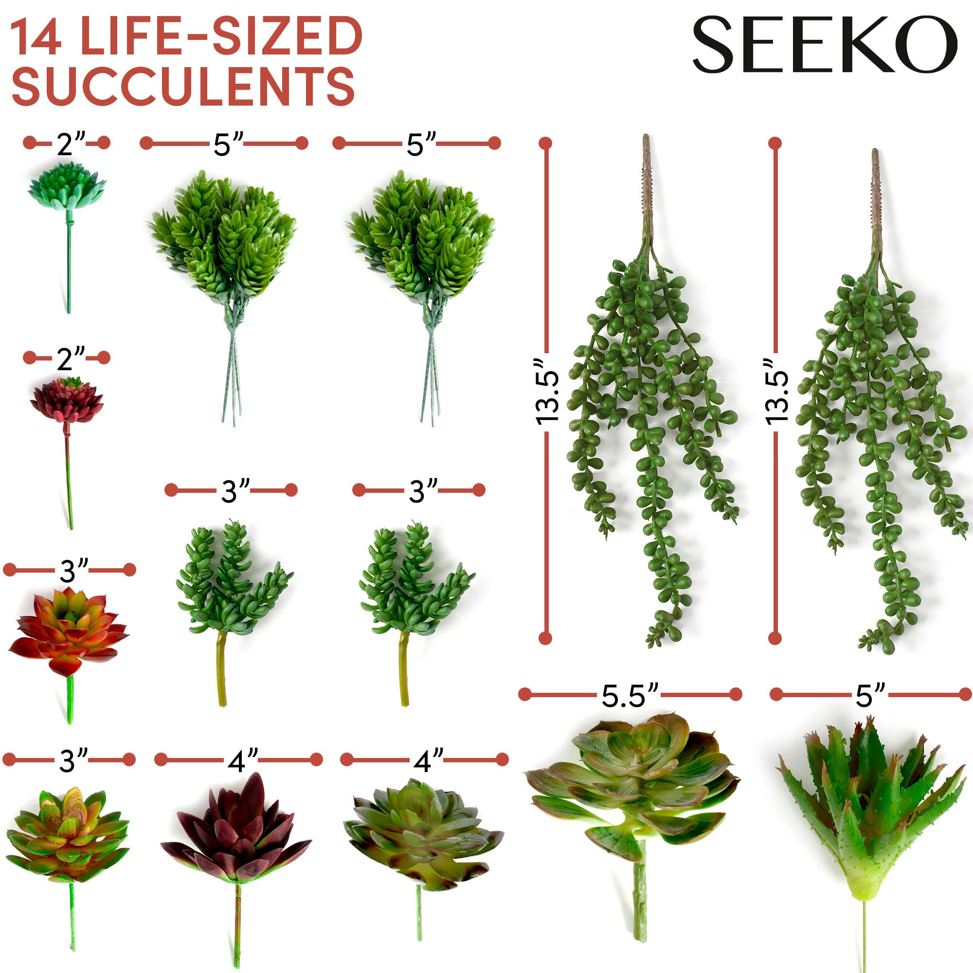 SEEKO Succulents styled in small pot showcasing instant decor upgrade