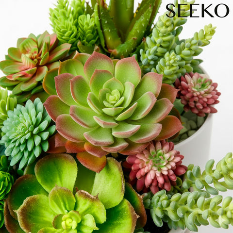 SEEKO Succulents close-up of rosette texture highlighting lifelike detail