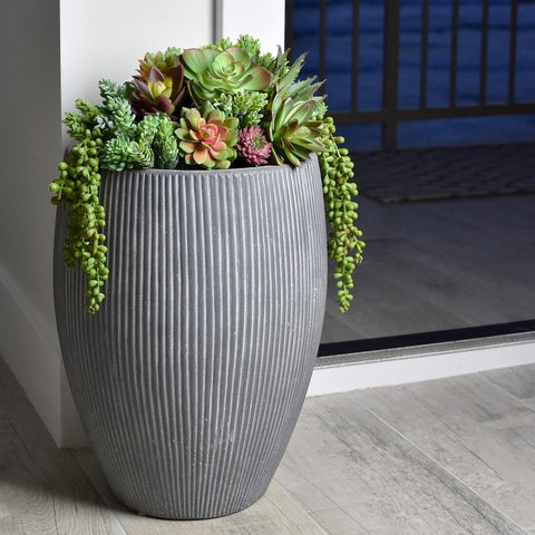 SEEKO Succulents next to a hand for scale showing compact, versatile sizes