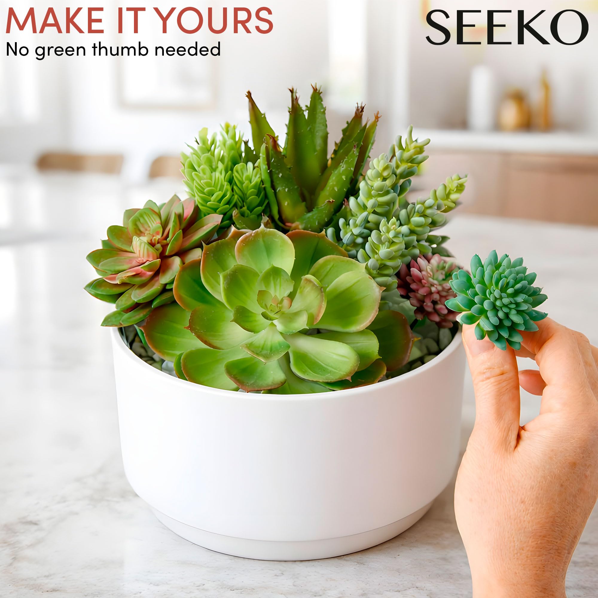 SEEKO Succulents trailing string-of-pearls arrangement showing flexible styling