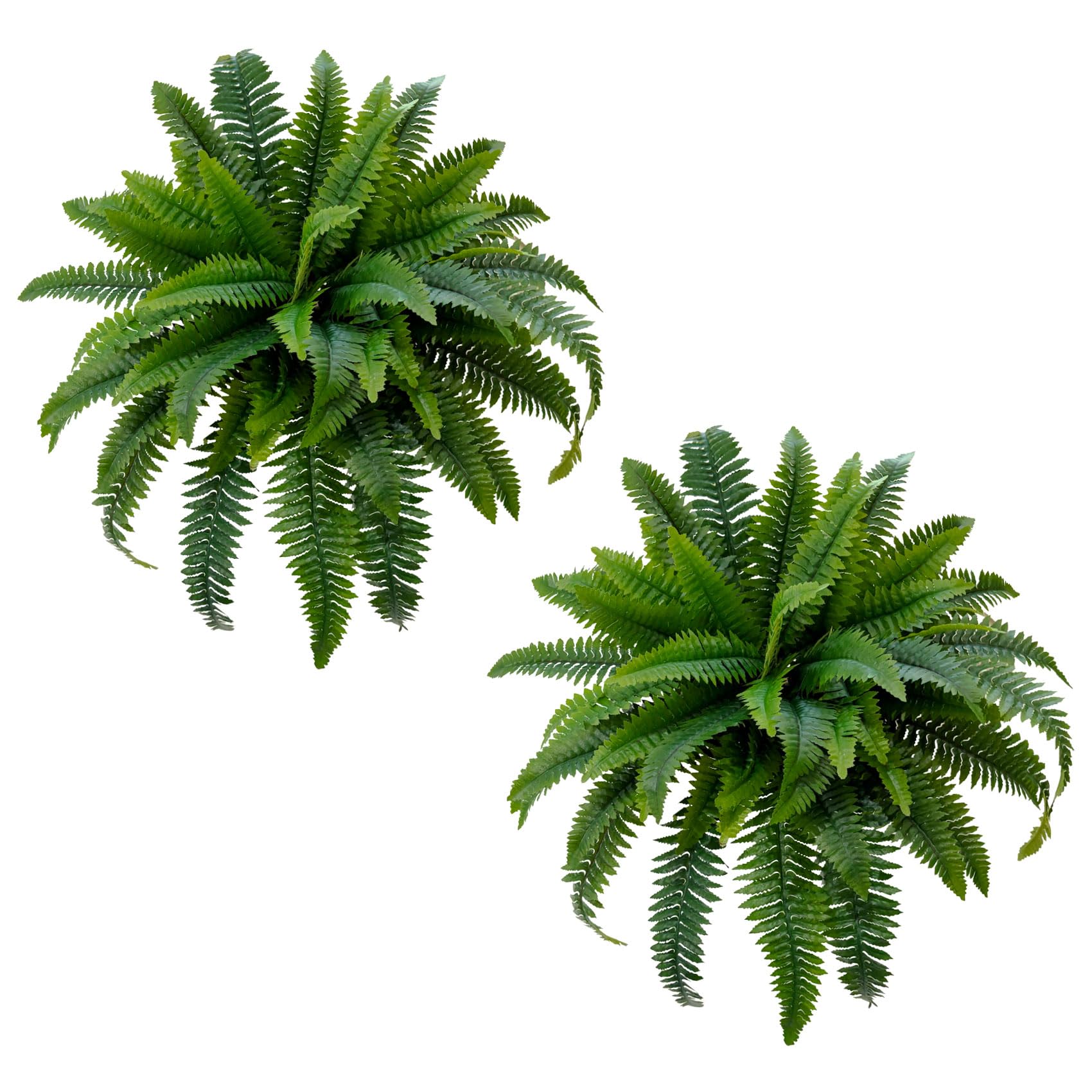 Senjie fern front view showing full 32-inch lush appearance and instant greenery